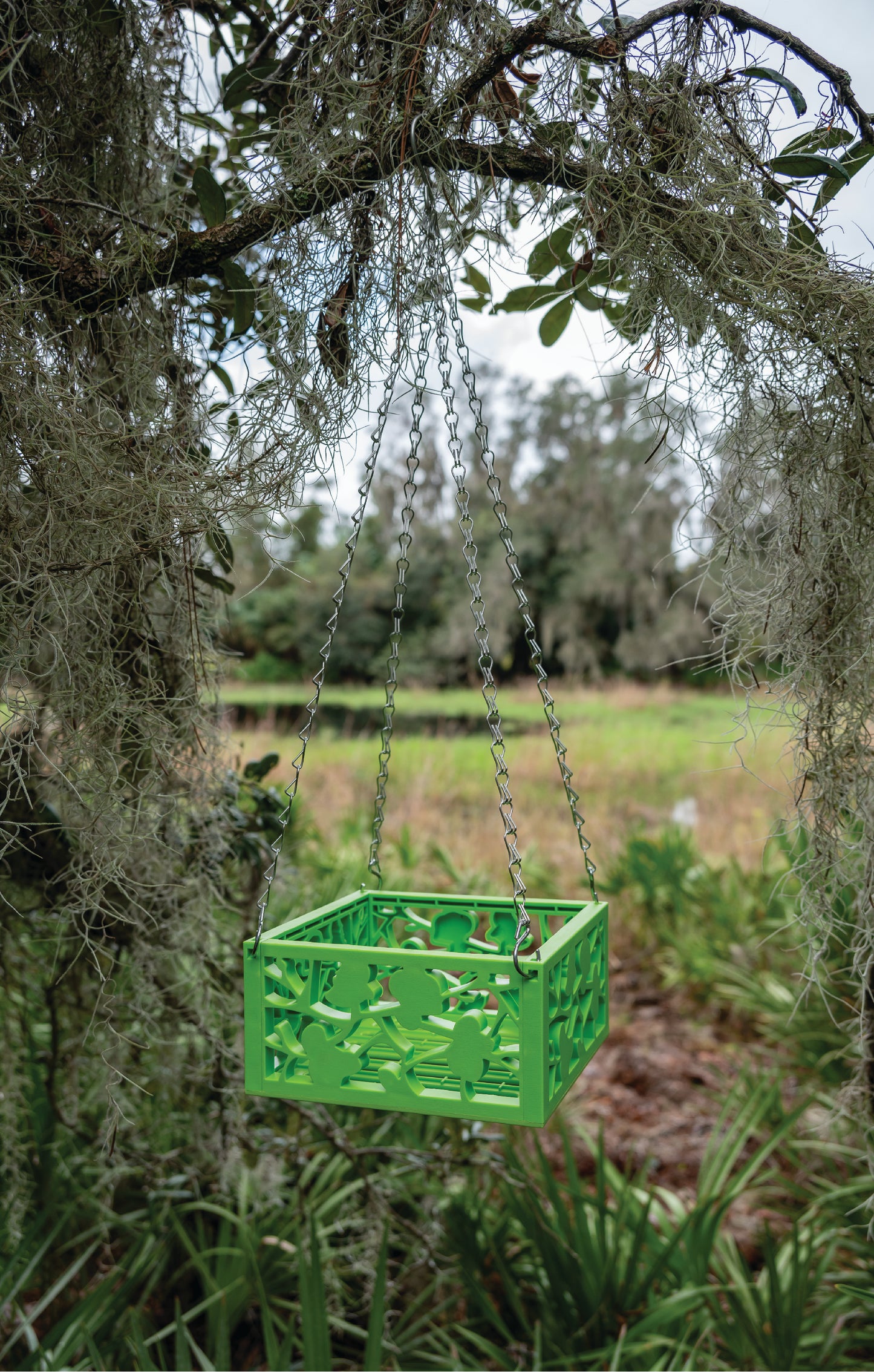 8" Orchid Planter with chain hanger in Light Green for Conservation Florida