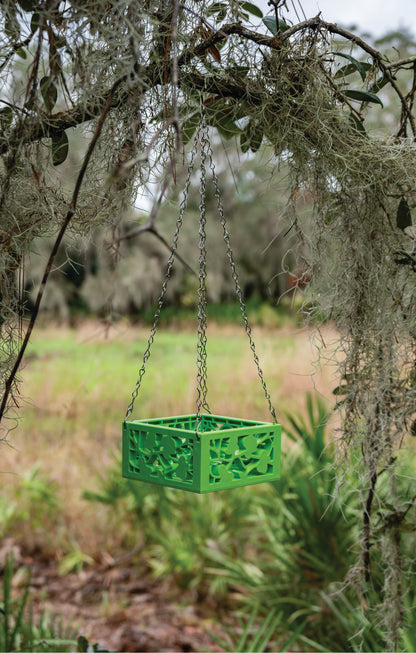 6" Orchid Planter with chain hanger in Light Green for Conservation Florida